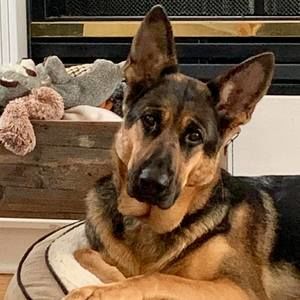 Meet your Posher, Rosemary